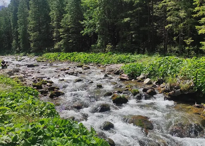 Dağ evi Osada Zagrody *